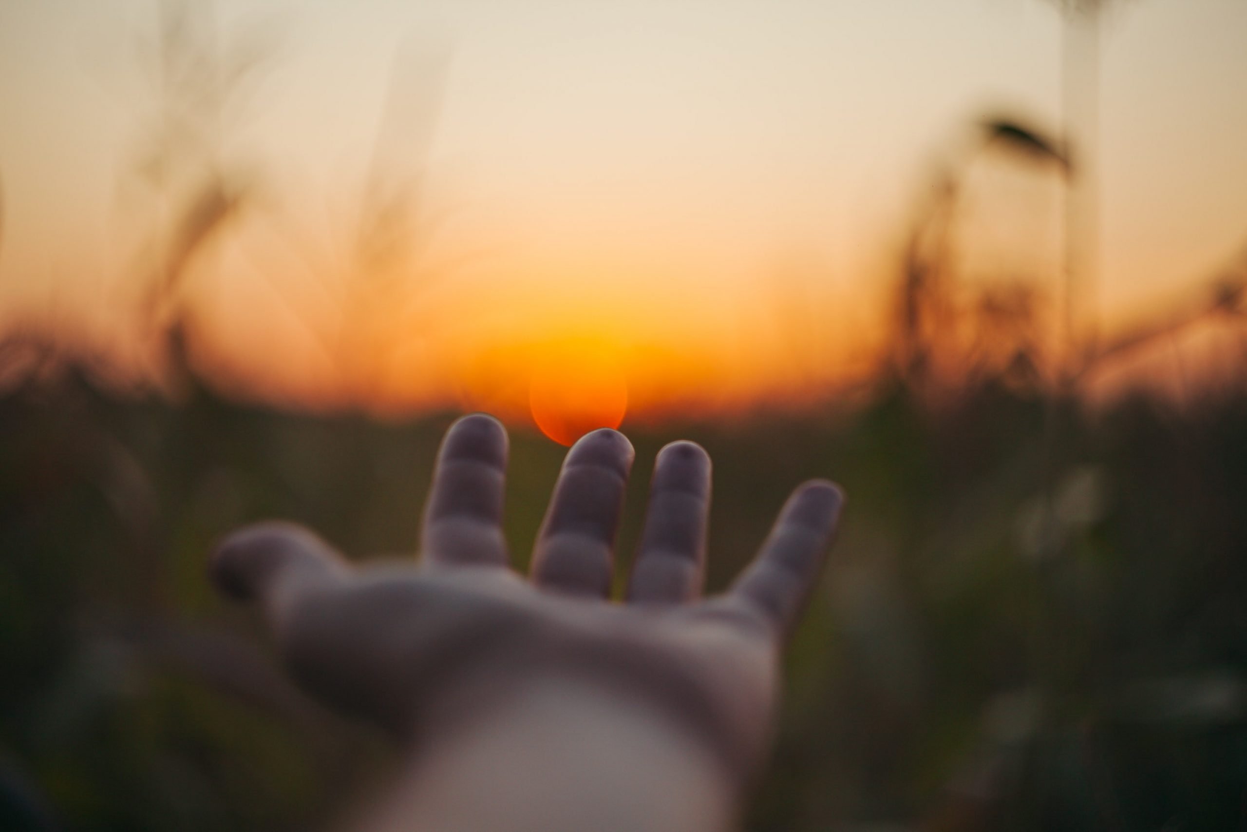 A hand reaching towards a sunset